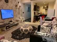 شقه للايجار شقه للايجار