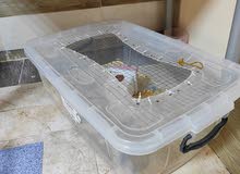 DIY Hamster box Cage DIY Hamster box Cage
