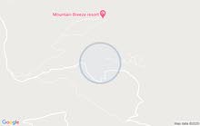 ارض اطلالة عالساحل السوري تقابل وتوازي منتجع نسمة جبل مرخصة سياحيا طابو وقمة ارض اطلالة عالساحل السوري تقابل وتوازي منتجع نسمة جبل مرخصة سياحيا طابو وقمة