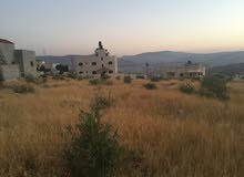 Residential Land for Sale in Tubas Other