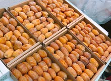 تمر ( رطب ) خلاص القصيم تمر ( رطب ) خلاص القصيم