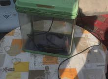 حوض سمك نضيف استعمال قليل حوض سمك نضيف استعمال قليل
