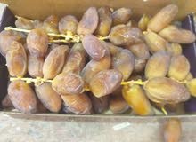 بيع التمور بالجملة في موريتانيا بيع التمور بالجملة في موريتانيا