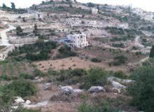 Mixed Use Land for Sale in Hebron Tapuah