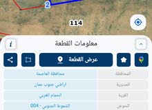 للبيع قطعة أرض 10 دونم في منطقة الحمام الغربي الشموط الجنوبي
