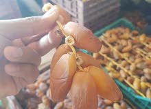 DRY DATES
PROCESSED DATES
BRANCH HIGH QUALITY DRY DATES
PROCESSED DATES
BRANCH HIGH QUALITY