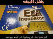 فقاسة بيض فقاسة بيض