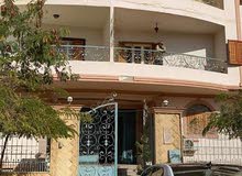 شقه في مصر للبيع شقه في مصر للبيع