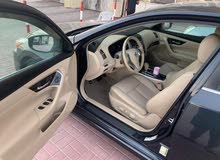 التيما 2013 التيما 2013