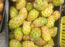 صبر تلقيط يومي صبر تلقيط يومي
