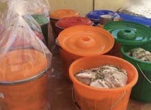 مالح للبيع .. السطل بـ16 ريال مالح للبيع .. السطل بـ16 ريال