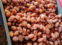 لبيع تمور خلاص لبيع تمور خلاص