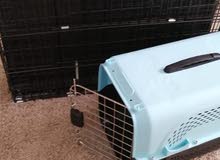 Pet cage and travel box for sale Pet cage and travel box for sale