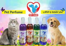 عطر_ بودرة _شاموبو عطر_ بودرة _شاموبو