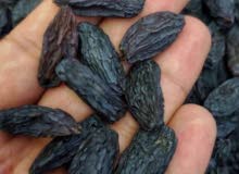 Premium Iranian Seedless Raisins  زبيب إيراني فاخر