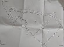 Mixed Use Land for Sale in Tulkarm Beit Lid