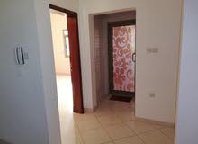 شقة للايجار في جبلة حبشي flat for rent in jablet Habshi