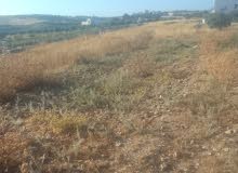 Residential Land for Sale in Hebron Beit Ula