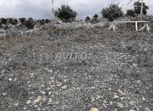 terrain 3600 m pret de plage 1km a haute taghazot terrain 3600 m pret de plage 1km a haute taghazot