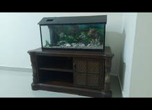 Fish Aquarium with table. Fish Aquarium with table.