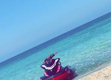ياماها gp1800r 2019 ياماها gp1800r 2019