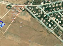 Residential Land for Sale in Amman Al Bnayyat