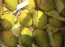 fresh honey Mango Pakisatani fresh honey Mango Pakisatani
