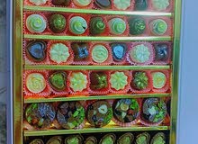 شوكلا بلجيكيه بافخم الحشوات لجميع المناسبات وأفضل التغليف