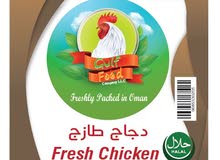 بيع دجاج مجمد عماني محلي