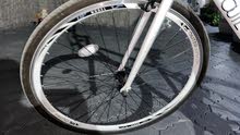 race bike race bike
