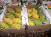 Pakistani fresh Honey Mango Pakistani fresh Honey Mango