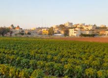 Mixed Use Land for Sale in Jenin Burqin
