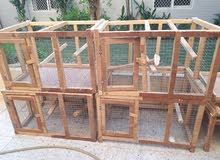 Cages اقفاص Cages اقفاص