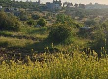 Residential Land for Sale in Ramallah and Al-Bireh Jifna