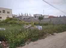 Residential Land for Sale in Jenin AlJabriaat