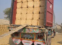 ANIMAL/Cattle feed exporter ANIMAL/Cattle feed exporter