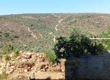 Mixed Use Land for Sale in Nablus Yasid