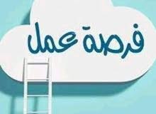 للجنسين للجنسين
