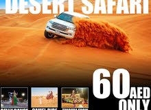 Best Desert Safari Package