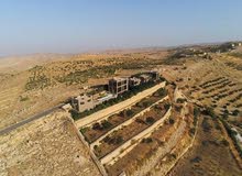 Residential Land for Sale in Amman Iraq Al Ameer