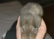 so cute so cute