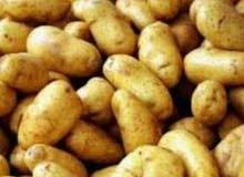 شركه الخير والبركه التوريدات شركه الخير والبركه التوريدات