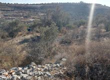Mixed Use Land for Sale in Tulkarm Kafr Zibad