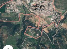 قطع الاراضي للبيع برج الامير عبد القادر موزاية قطع الاراضي للبيع برج الامير عبد القادر موزاية