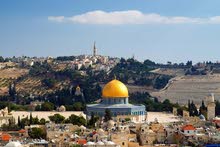 Alternative Tours of Israel and Palestine