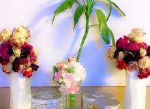 ماسكات كنوز الطبيعيه والزيوت الهنديه ماسكات كنوز الطبيعيه والزيوت الهنديه