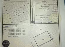 للبيع ارض سكنيه في الدقم مخطط ظهر 2 للبيع ارض سكنيه في الدقم مخطط ظهر 2