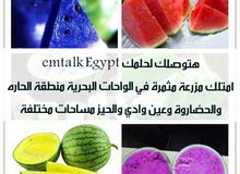 للبيع أرض في الواحات البحرية الزراعة مستقبل مضمون ليك ولي أولادك للبيع أرض في الواحات البحرية الزراعة مستقبل مضمون ليك ولي أولادك
