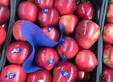 تفاح تفاح تفاح تفاح