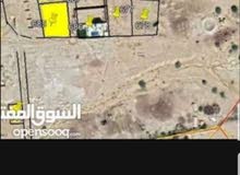 Residential Land for Sale in Madaba Al-Faisaliyyah